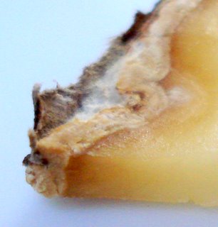 Cheese rind closeup.JPG
